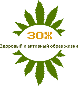 hakimovarailyazozh.ru